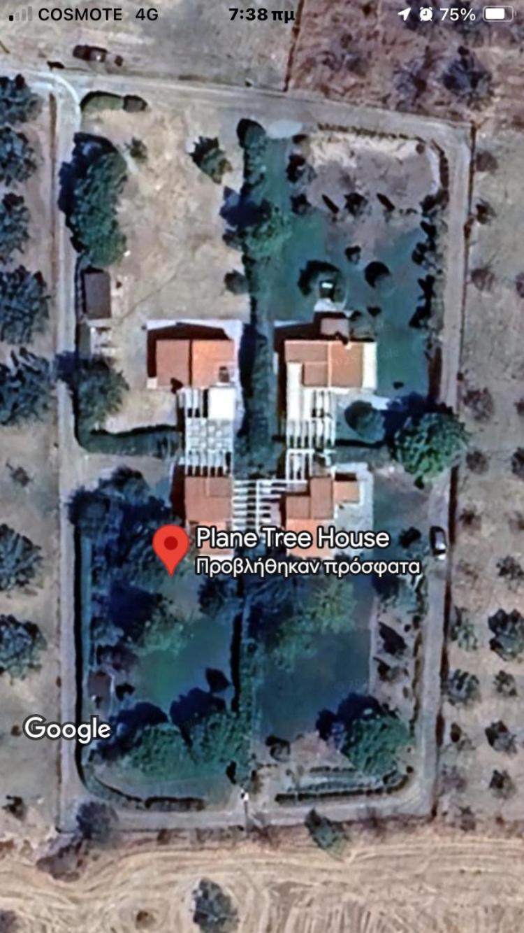 Plane Tree House Apartment Makri Bagian luar foto