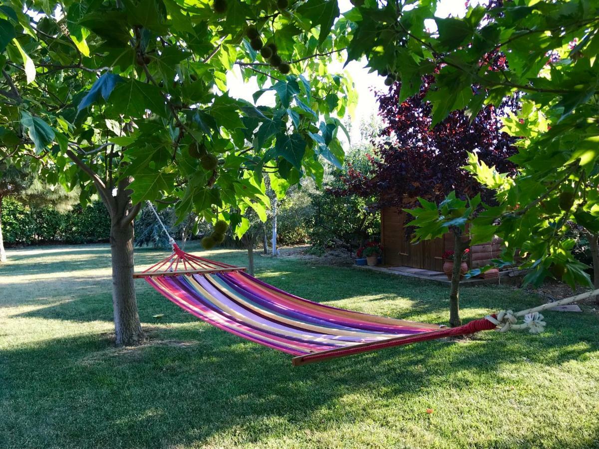 Plane Tree House Apartment Makri Bagian luar foto